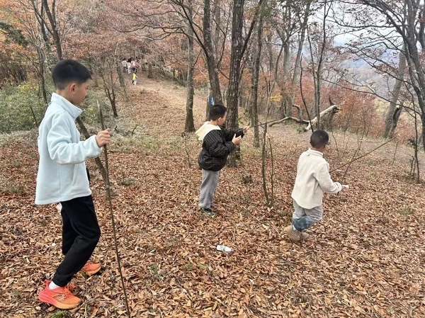 1763175912503166.jpg 640 (1).jpg