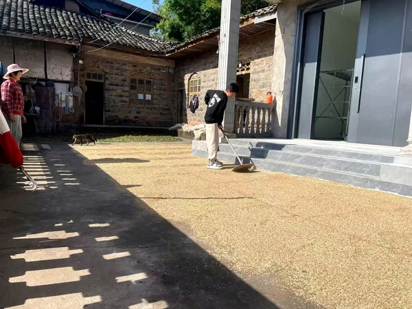 1763176335443552.jpg 640 (2).jpg