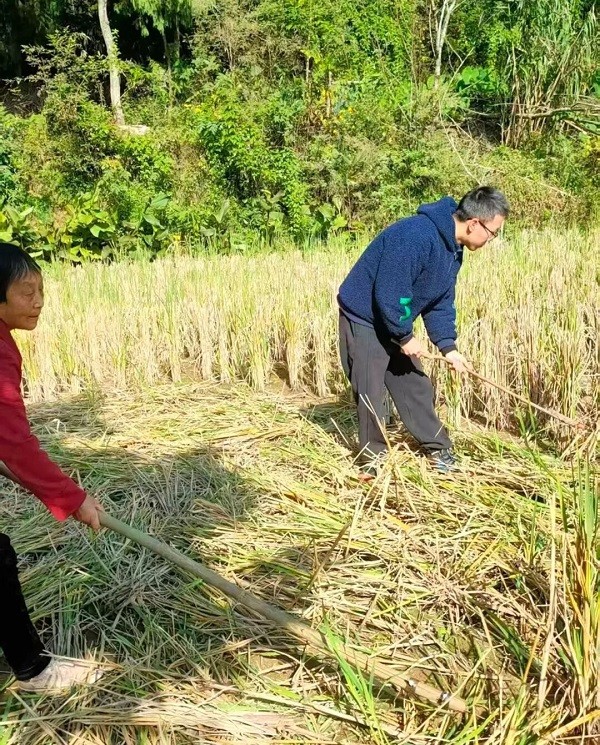 1763176345201078.jpg 640.jpg