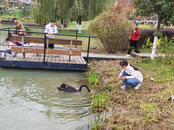 1763286966916045.jpg 640.jpg