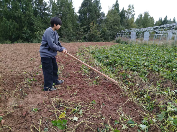 1763551079455430.png 640 (1).png