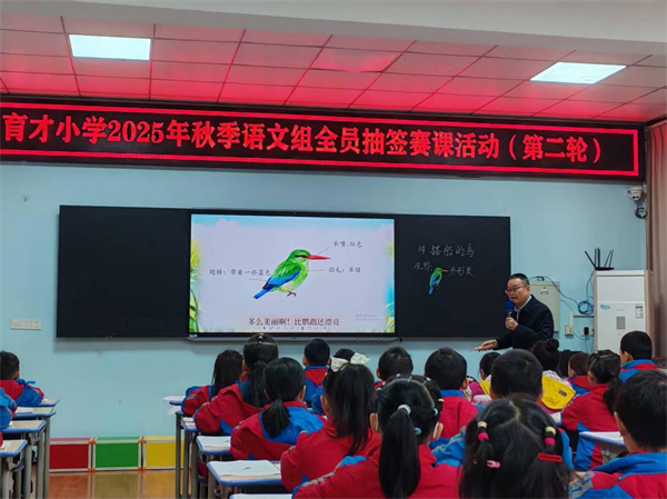 1763700645790095.png 图片2.png