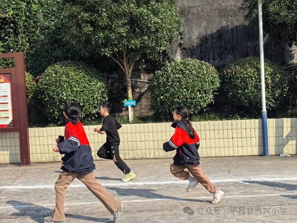 1763809247735663.jpg 640 (1).jpg