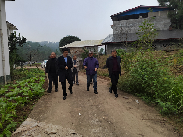 1763810832389620.png 640.png