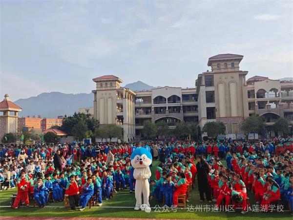 1764165176528386.jpg 3.jpg