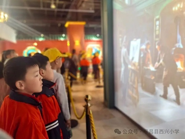 1764201560919725.jpg 640 (1).jpg