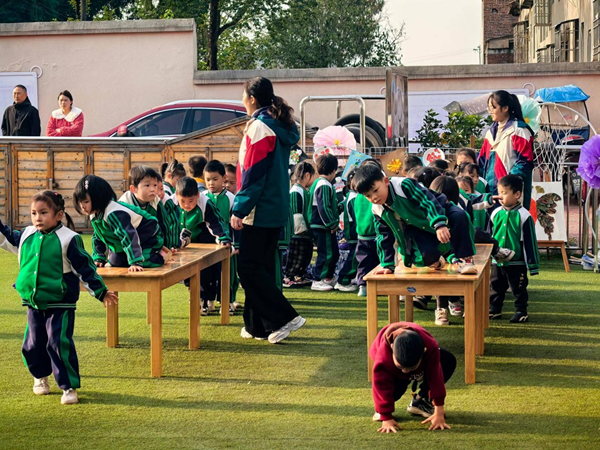 1764319082274612.png 图片 1.png