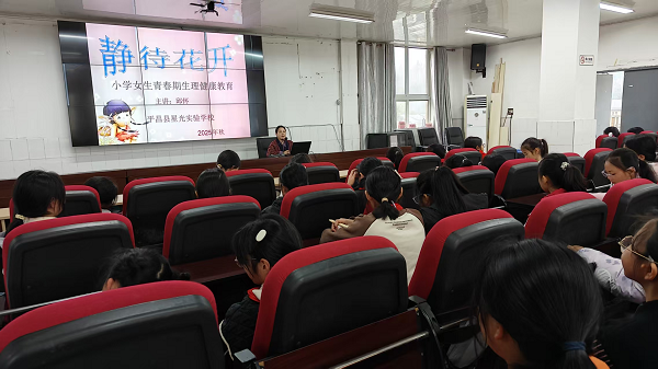 1764754610615676.png 图片1.png