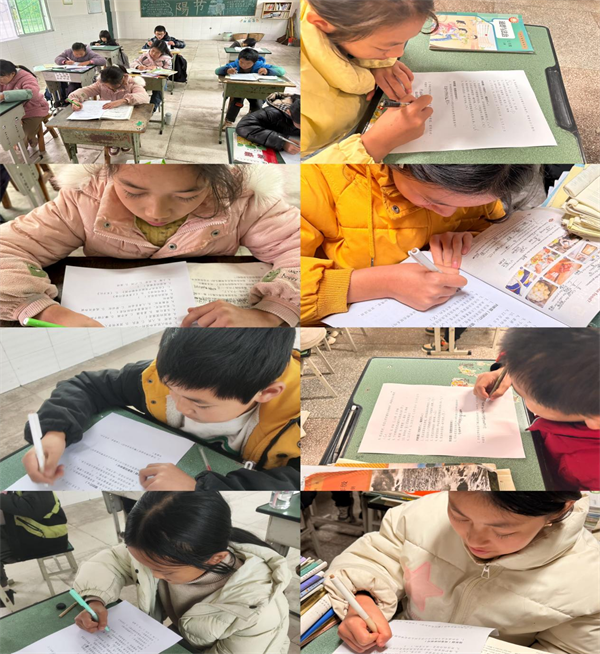 1764833210711267.png 3.png