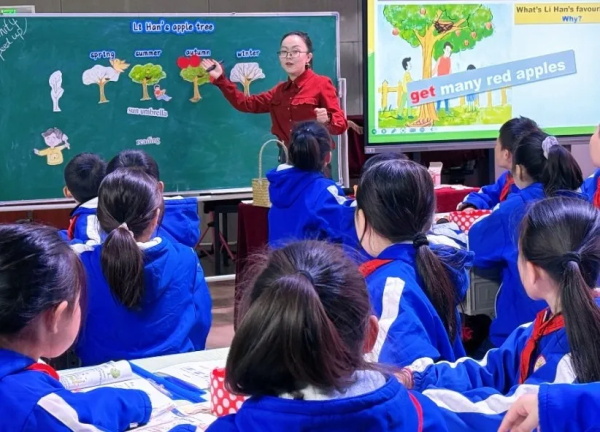 1764845952374299.jpg 3(1).jpg