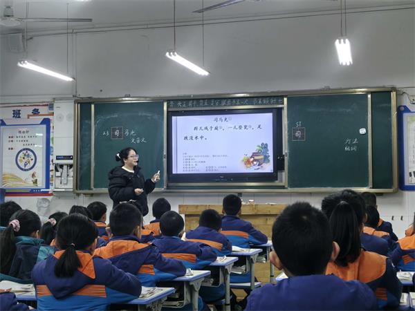 1764910231882284.jpg 6b873cf0b2ed53bfb0341acb7a6861bb.jpg