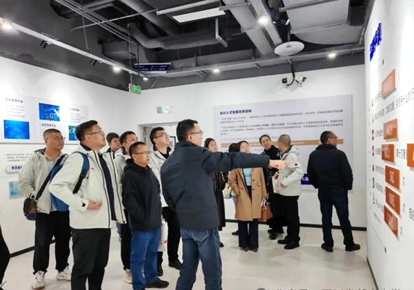 1765186806202893.png 图片 5.png