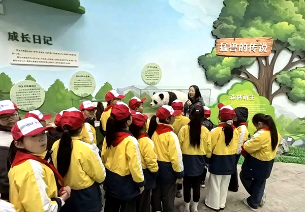 1765187165830510.png 图片 19.png