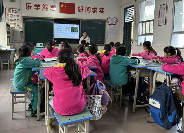 1765290227430375.png 图片1.png