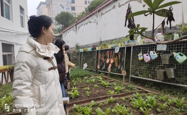 1765415817102399.png 图片 1.png