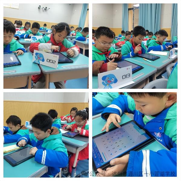 1765533672219197.jpg 5.jpg