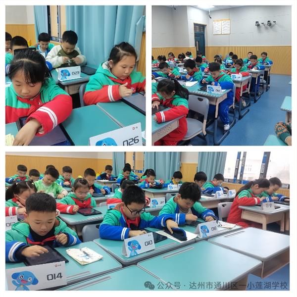 1765534158107839.jpg 6.jpg