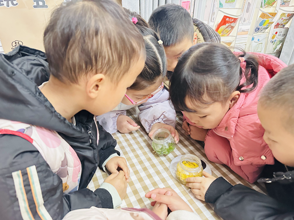 1765542908480214.png 图五6.png