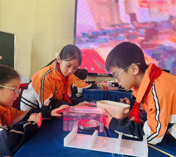 1765556696772081.png 图片3_看图王.png