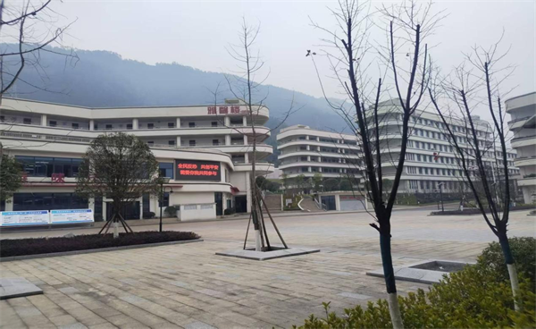 1767087854549477.png 1.png