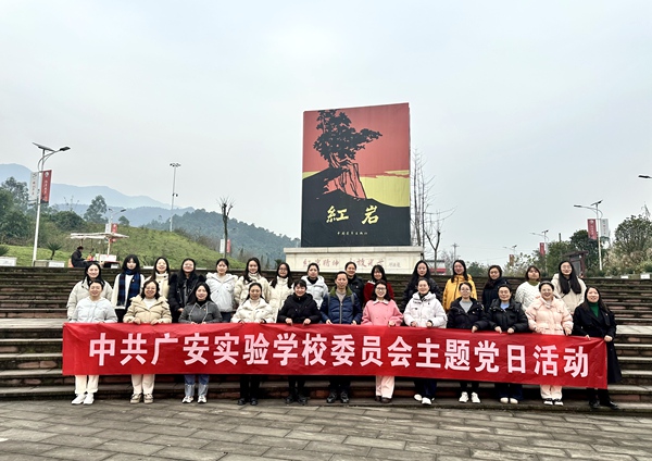 1767595288547550.jpg 3.jpg