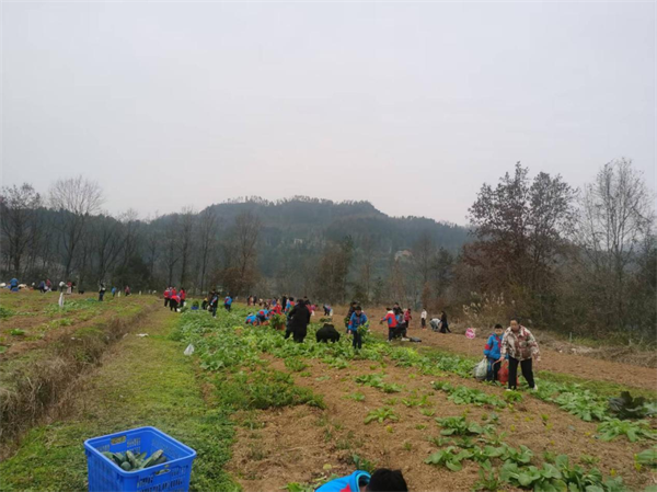 1767790700231973.png 图片2.png