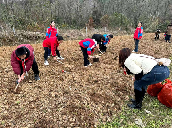 1767790710693622.png 图片3.png