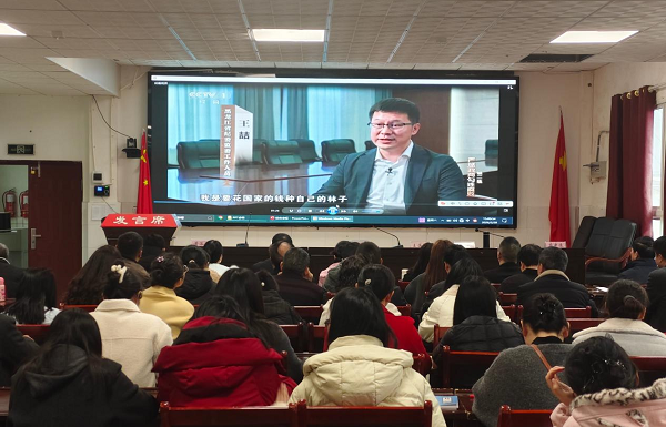 1772423117673037.png 图片2.png