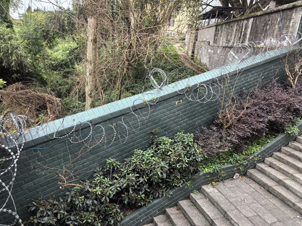 1772529624243157.png 图片1.png