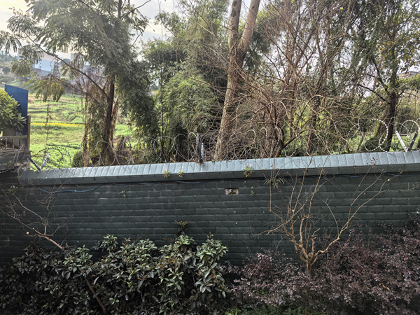 1772529647258514.png 图片2.png