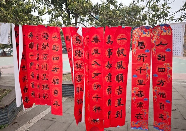 1772611437150177.jpg 8.jpg