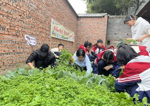 1773039363575460.png 图片 10.png