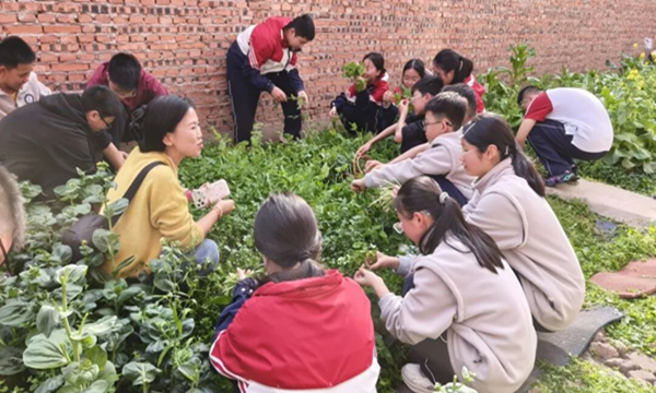 1773039375698726.png 图片 17.png