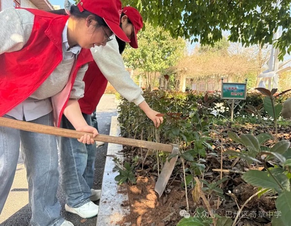 1773395278859711.jpg 微信图片_2026-03-13_174307_194.jpg