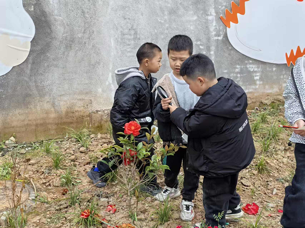 1773460086136239.png 图片4.png