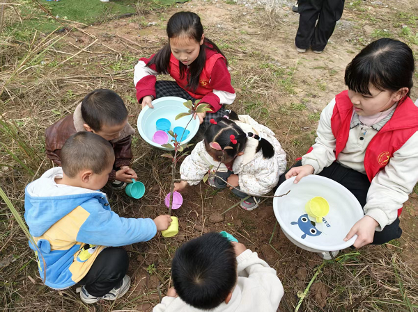 1773460095216902.png 图片5.png