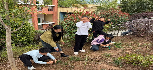 1773460458739465.png 图片2.png