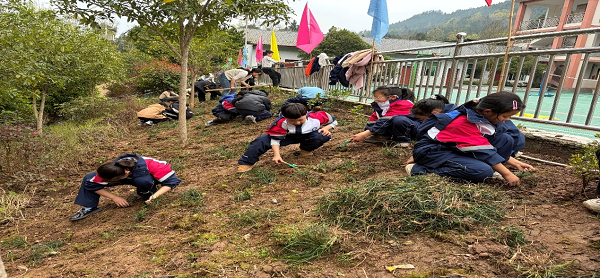 1773460469584929.png 图片3.png