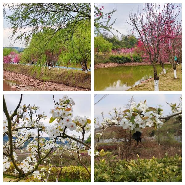 1773630231433760.jpg 未命名.jpg