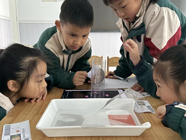 1774417003980034.jpeg 幼儿上课活动.jpeg
