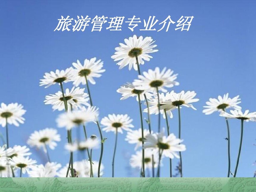 ·ѧУιרҵѧ