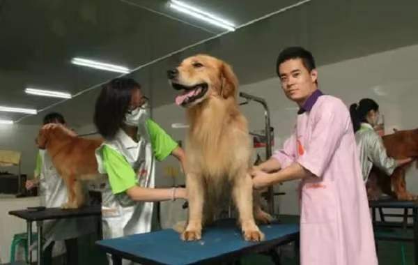 畜牧兽医专业 畜牧兽医专业