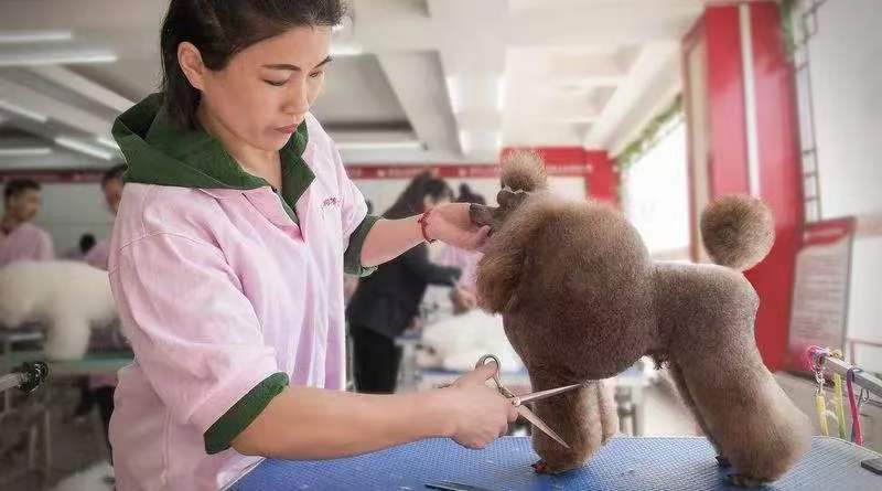 ������ҽרҵ