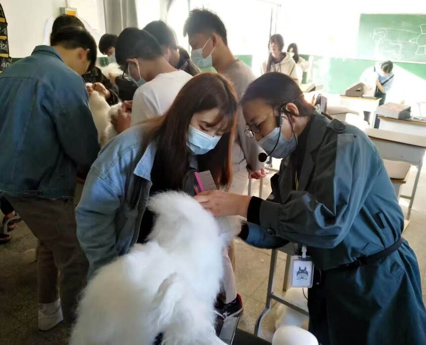 畜牧兽医专业 畜牧兽医专业