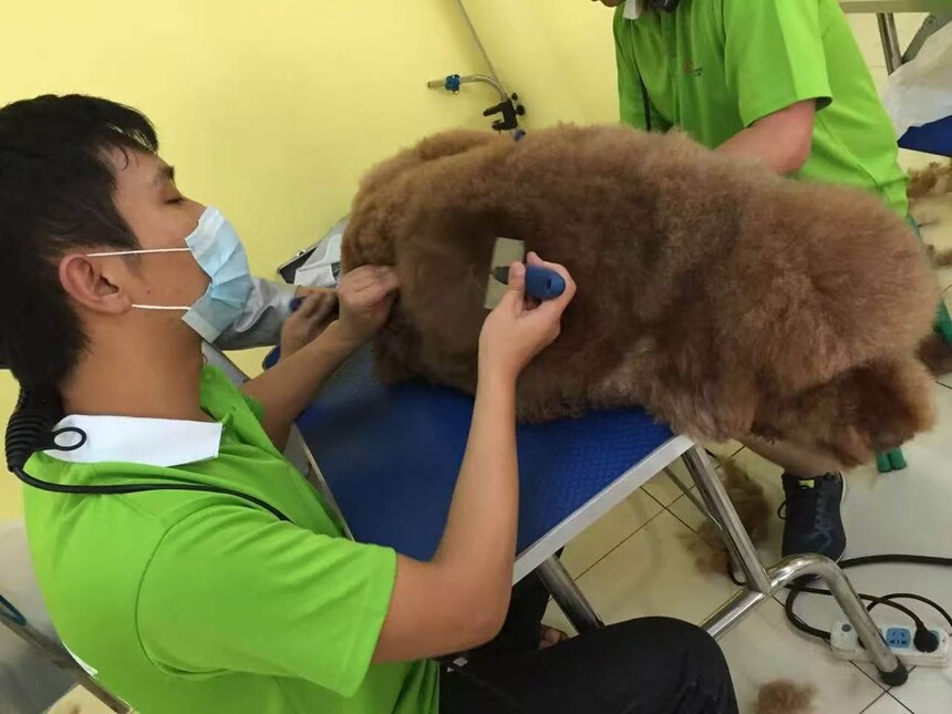 ������ҽרҵ