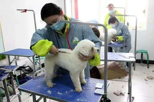 ������ҽרҵ