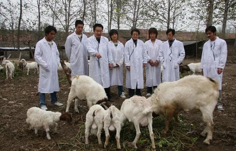 ������ҽרҵ