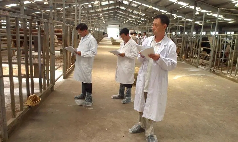 ������ҽרҵ