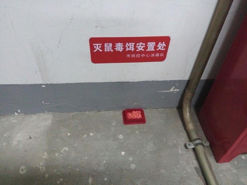 üɽ湫˾