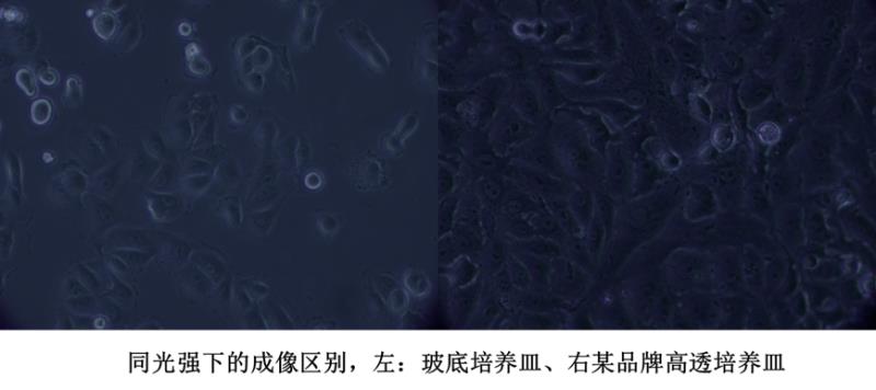 1_3_mmexport1590720413337.jpg